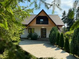 Pensiunea Ionela，位于Zemeş的酒店