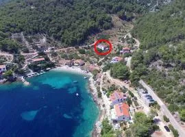 Family friendly seaside apartments Cove Torac, Hvar - 2071