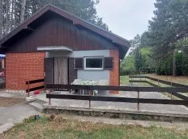 House for us Vinci