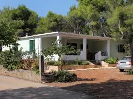 Apartments by the sea Mudri Dolac, Hvar - 5694