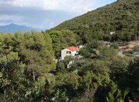 Seaside secluded apartments Cove Zavala - Gdinj, Hvar - 5717