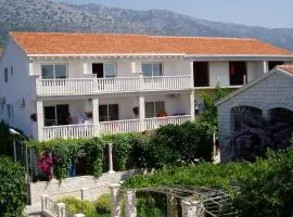 Apartments and rooms by the sea Orebic, Peljesac - 4553