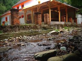 Cabana de lângă Vale，位于Budureasa的木屋