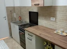 Apartament Băile Herculane cu vedere la munte