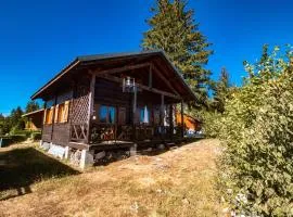 Chalet du Bois Joli