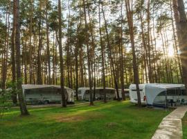 Urlaub im Wohnwagen mitten im Wald，位于Lütow的露营地