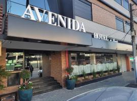 AVENIDA HOTEL DE RESENDE，位于雷森迪的胶囊旅馆