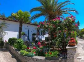 Apartments by the sea Artatore, Losinj - 8020