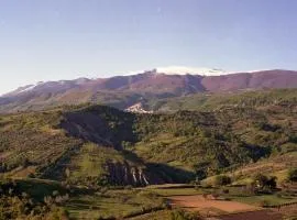 皮特赖斯住宿加早餐旅馆