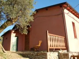 Azienda Agricola Colle Paradiso