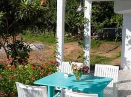 Butik Mor Salkım Evleri