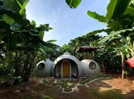 Adorable Dome House