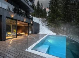 Paznauner Villen - Villa I，位于卡普尔的酒店