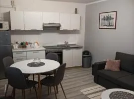 Apartman Ana 1