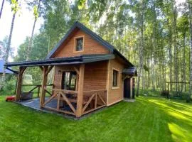 Pod Brzozą