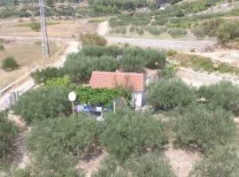 Holiday house with a parking space Bol, Brac - 12604