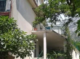Apartments with parking space Gradac, Makarska - 13196