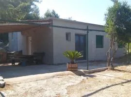 Secluded house with a parking space Cove Borova, Hvar - 13526