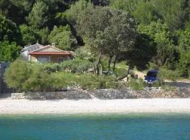 Secluded fisherman's cottage Cove Smokvina, Hvar - 13608