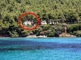 Apartments by the sea Zuljana, Peljesac - 10233