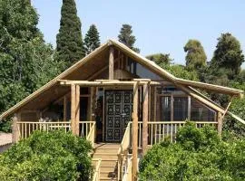 ביקתפוז וקלמנטינה- מתחם בקתות וסוויטות עם ג'קוזי פרטי ובריכה משותפת מחוממת ומקורה