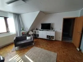 Apartment Linss