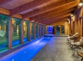 Bear Lodge with private Pool, Hottub, and Sauna!，位于黑利的带停车场的酒店