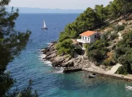 Seaside secluded apartments Cove Torac, Hvar - 581