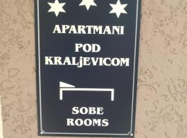 APARTMAN “POD KRALJEVICOM”，位于扎耶查尔加齐格拉德温泉浴场附近的酒店