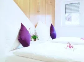 Villa Natur Monteur & Ferienwohnung mit WLAN & PARKPLATZ