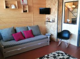 Appartement de 28 m2, centre station les 2 alpes，位于莱德萨阿尔卑斯的公寓