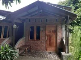 Jhony's Backpacker-Guest House & jungle tour