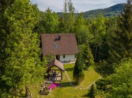 Holiday house with a parking space Lokve, Gorski kotar - 18226，位于代尔尼采的别墅