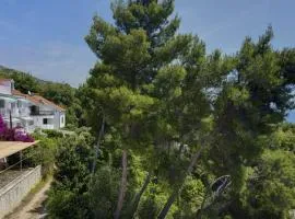 Apartments by the sea Zavala, Hvar - 2986