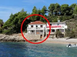 Seaside secluded apartments Cove Tvrdni Dolac, Hvar - 2997