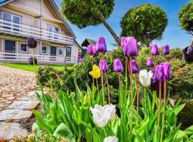 Gorgeous Home In Darlowo With Wifi