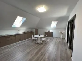 Central Apart 1