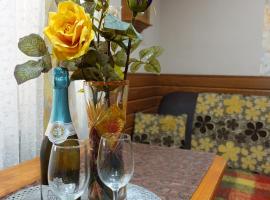 Noclegi u Ani，位于奥帕图夫的酒店