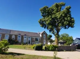 BELLE VISNONIA B&B gluten free & traditional