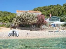 Seaside secluded apartments Cove Skozanje, Hvar - 4624