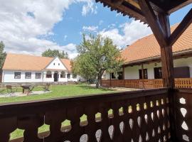 Rauber Baron Cottage-Traditional Comfort House，位于Tălişoara的酒店