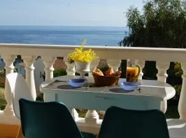 Maison individuelle avec vue sur mer - Les Lauriers