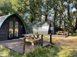 Nightjar Cabin at Cloudshill Glade，位于威尔汉姆的酒店