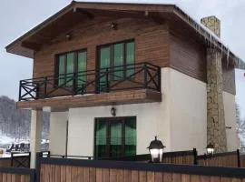 Villa Siba Bakuriani
