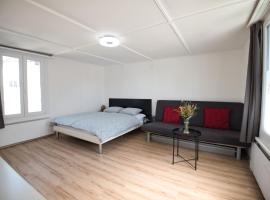 Lake Getaway Apartment with Private entrance, right on the Lake Constance cycle path, barbecue area, free wifi, Netflix and free bikes，位于Salmsach的酒店