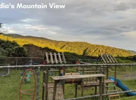 Lidia's Mountain View Vacation Homes