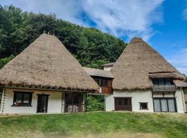 Casa Catrinei，位于Văleni的带热水浴缸的酒店