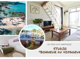 Studio idéal couple, à 200m de très belles plages pointe du bout!，位于Lazaret的酒店