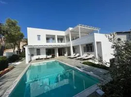 Saronida Boutique Villa Private Pool, Sea views, Lovely Gardens & Roof Terrace