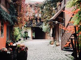 Pêche de Vigne & Spa，位于Rodern的酒店